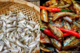 Cá lòng tong, món nhà nghèo một thời, nay thành đặc sản “đắt đỏ” hiếm có ở miền Tây