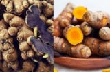 Nghệ đen và nghệ vàng loại nào tốt hơn?