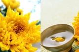 Vì sao người xưa vừa mừng vừa sợ ngày Trùng Cửu 9/9, và lại lên núi uống rượu hoa cúc vàng?