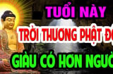 Đẹp Người - Tốt Nết, 3 tuổi Phật Thương Phật Độ, viên mãn đến già