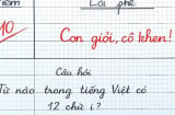 Đố vui: Từ nào trong tiếng Việt có 12 chữ 'i'?