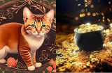 Khi 2025 kết thúc: 4 con giáp giàu nhất năm 2026, sang 2027 thành ông hoàng thịnh vượng