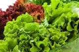 3 loại rau dễ “ngậm” hóa chất và chứa nhiều ký sinh trùng nhưng người Việt vẫn ăn hằng ngày