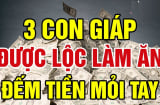 Buôn Bán Gặp Thời, 3 con giáp Tiền đổ về như thác từ năm 2026