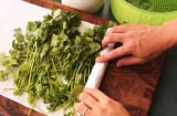 Rau mùi mua về đừng cất ngay vào tủ lạnh, làm cách này rau để cả tuần vẫn tươi ngon