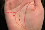Đây là tướng tay có phúc, người sở hữu nó có cuộc đời nhiều may mắn, tiền bạc và tài lộc luôn rủng rỉnh