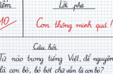 Gây bão mạng: Từ tiếng Việt để nguyên là con bò, bớt chữ vẫn thành con bò là gì?