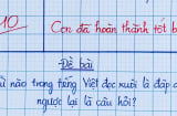 Câu đố tiếng Việt khiến bạn phải ngỡ ngàng: Đọc xuôi là đáp án, đọc ngược thành câu hỏi