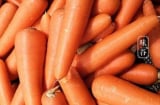 Tại sao cà rốt bán ở quầy rau lại sạch mịn? Có dùng hóa chất không?