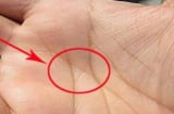 Người giàu sang dễ nhận biết: 3 dấu hiệu trên bàn tay tiết lộ tài lộc theo nhân tướng học