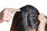Mẹo chăm sóc tóc bạc cho phụ nữ trung niên tránh khô xơ, ngả vàng