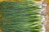 Mẹo bảo quản hành lá cả tháng vẫn xanh tươi, thơm như mới hái