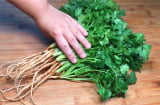 Cách bảo quản rau mùi tươi lâu, cả tháng vẫn xanh mướt, thơm ngon
