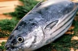 3 loại cá được cảnh báo dễ là “ổ ung thư”: Ngon đến mấy cũng nên tránh, đặc biệt loại thứ 2