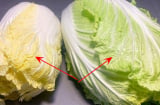 Nên mua cải thảo lá vàng hay cải thảo lá xanh?
