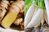 Vì sao buổi sáng nên ăn gừng, buổi tối nên ăn củ cải?