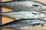 Top 5 loại cá có nguy cơ chứa nhiều thủy ngân nhất: Đi chợ rẻ mấy cũng không nên mua nhiều