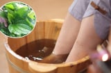 Thường xuyên ngâm chân bằng nước lá lốt, cơ thể có 5 thay đổi bất ngờ