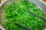 Khi luộc rau có nên cho muối không? Lời giải đáp đúng giúp rau xanh hơn, giữ trọn dinh dưỡng