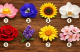  Quiz: Chọn 1 bông hoa để khám phá tài năng tiềm ẩn mà bạn chưa khai phá trong mình