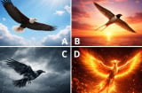 Quiz: Chọn 1 hình ảnh cánh chim sẽ hé lộ tuổi già của bạn an nhàn giàu sang hay chật vật khốn cùng?
