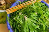Món rau dại giòn ngọt chỉ xuất hiện khi miền Tây vào mùa nước nổi