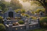 Vì sao người xưa dặn “giàu không dời mộ”: Lời nhắc phong thủy sâu xa chớ coi thường