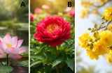 Quiz: Chọn 1 bông hoa để xem bạn sẽ đạt đỉnh giàu sang ở độ tuổi nào?
