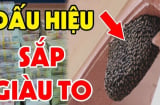 4 con vật này vào nhà Thần Tài ghé thăm, càng ở lâu càng nhiều của