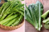 Loại rau 'nhà nghèo' bổ hơn tổ yến, canxi gấp 36 lần nước hầm xương: Chợ Việt bán giá rẻ như cho