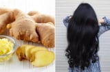 Cách gội đầu bằng gừng tươi trị rụng tóc hiệu quả, tóc con mọc lên tua tủa