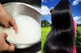 Cách gội đầu bằng nước vo gạo giúp tóc giảm rụng, bóng mượt, tóc con mọc không ngừng