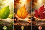 Quiz: Chọn 1 chiếc lá để biết bạn sẽ thành công giàu có ở độ tuổi nào