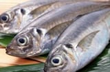 Cá biển và cá nước ngọt: Loại nào tanh hơn, loại nào tốt cho sức khỏe hơn?