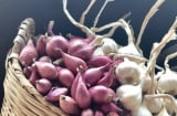 Cách bảo quản hành, tỏi cả năm không bị mốc, không bị teo thối hay mọc mầm