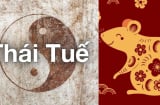 Năm 2026 Bính Ngọ: 4 con giáp phạm Thái Tuế vướng thị phi, hao tài, 1 tuổi dù không phạm vẫn lao đao