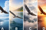 Quiz: Chọn 1 cánh chim để biết con đường bạn đang đi sẽ dẫn tới đâu trong thời gian tới