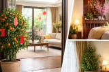 3 nơi không nên đặt cây cảnh ngày Tết nếu muốn gia đạo yên ổn, tài khí không bị xáo trộn