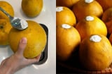 Mẹo bảo quản bưởi ăn Tết, 3 tháng không mốc hỏng, để càng lâu càng ngọt