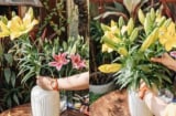Mẹo cắm hoa tươi lâu cả tuần không héo, áp dụng ngay dịp Tết