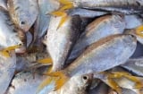 Đi chợ gặp loại cá này nên mua ngay: Canxi cao gấp 3 lần sữa, rẻ hơn thịt, bán đầy chợ Việt