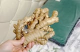 5 lợi ích khi đặt một củ gừng cạnh gối khi ngủ