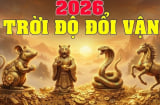 Ân Trên Đã Rót: 3 con giáp Tiền ào vào cửa, Tết đến sạch hết nợ nần