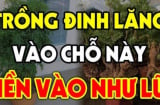 Vị trí tốt nhất trồng cây đinh lăng để hút tài lộc: Đặt đúng chỗ như “thần giữ của”, gia chủ phát lộc
