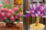 Mẹo cắm hoa nở đẹp, tươi lâu ngày Tết, để cả tuần vãn tươi rói