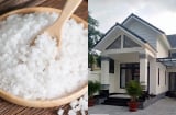 Đầu năm đặt muối ở vị trí này trong nhà, gia chủ công việc thuận lợi, làm đâu thắng đó