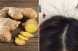 Cách gội đầu bằng gừng trị rụng tóc, kích thích tóc con mọc tua tủa