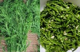 Rau thối Tây Bắc: Đặc sản “mùi lạ” gây tò mò, lên bàn ăn Hà Nội giá cao vẫn cháy hàng