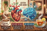 Uống trà hay cà phê mỗi ngày: Loại nào có lợi hơn cho tim mạch và trí nhớ?