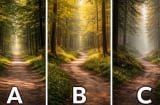 Quiz: Nhìn 3 con đường vắng, bạn chọn lối nào? Lựa chọn tiết lộ bản lĩnh thật sự của bạn